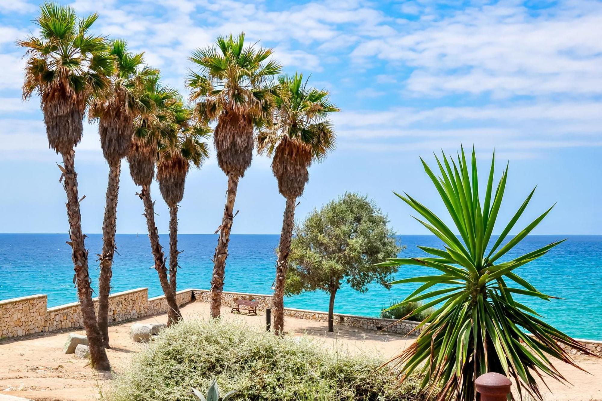 Mediterranean Way - Sant Domenec * Tarragona